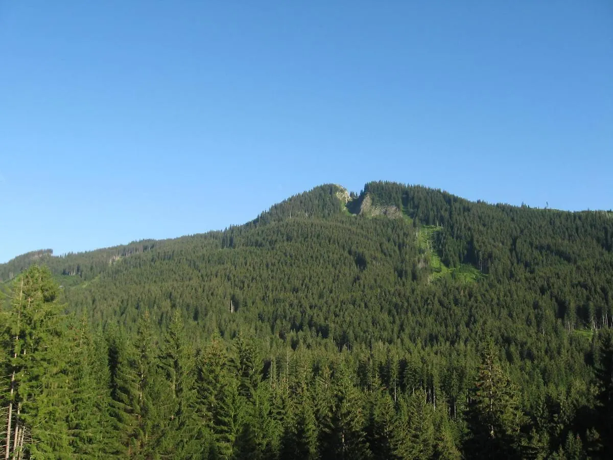 Bergliebe Apartment Nesselwang